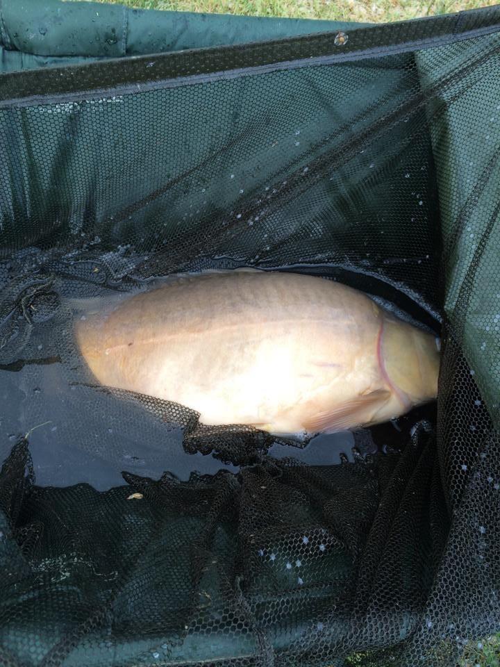 Lacul Mandarino ( Italia ) - image1111111111111111111111111111.jpg